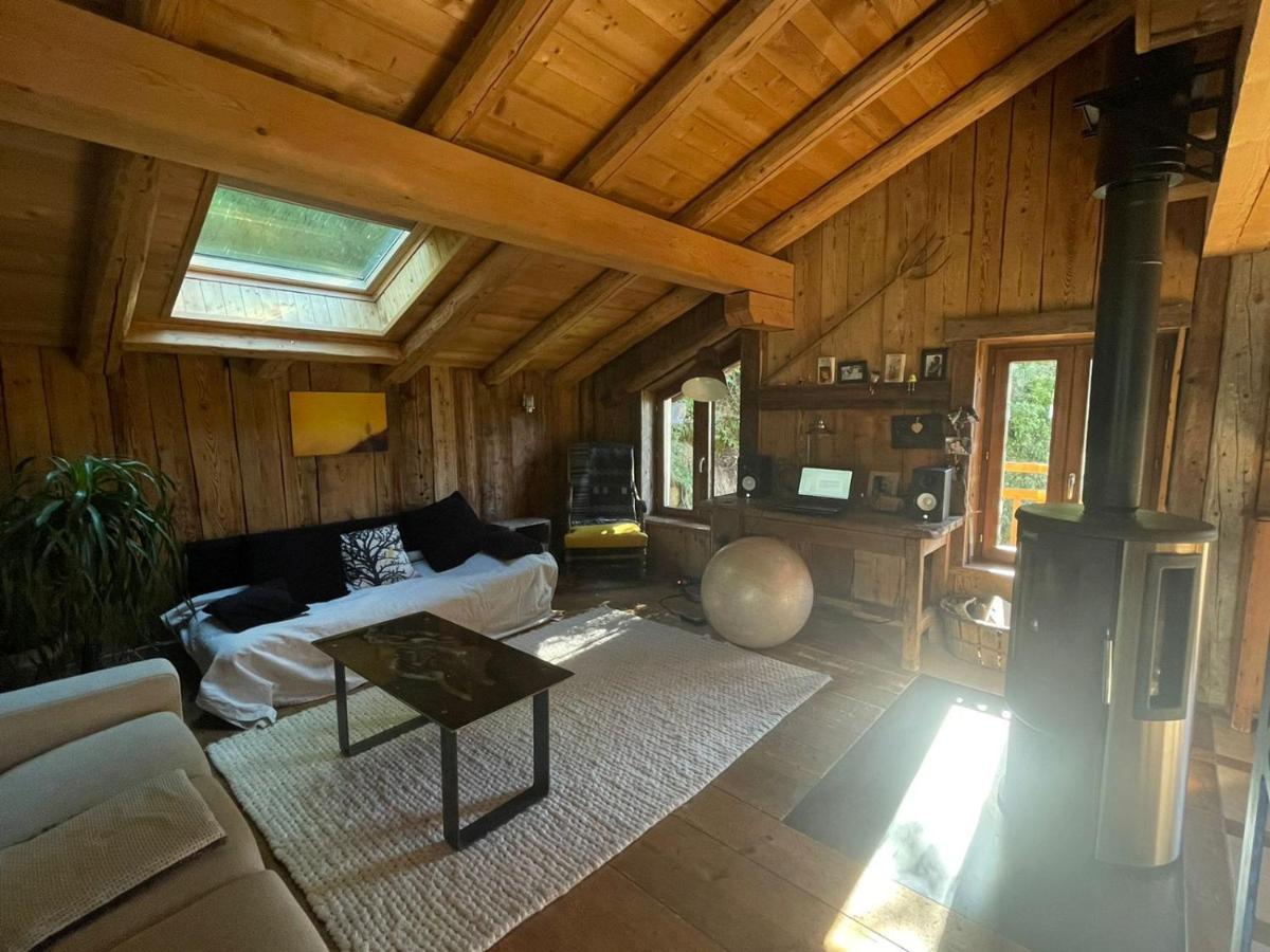 Magnifique Chalet Dans La Vallee De Chamonix 서보즈 외부 사진